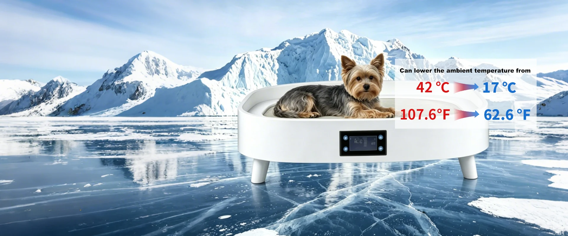Bed for Pet Supplier Bed for Pet Supplier